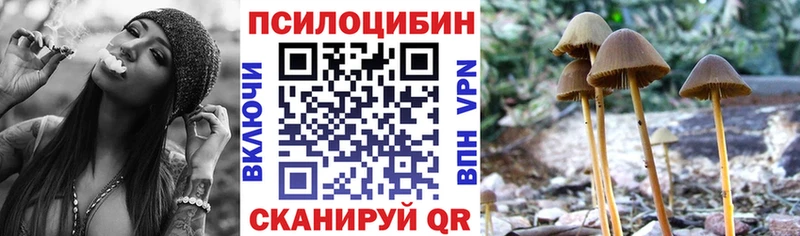 Псилоцибиновые грибы ЛСД Лосино-Петровский