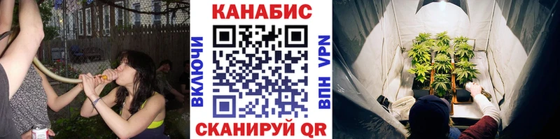 Конопля OG Kush  mega зеркало  Лосино-Петровский 